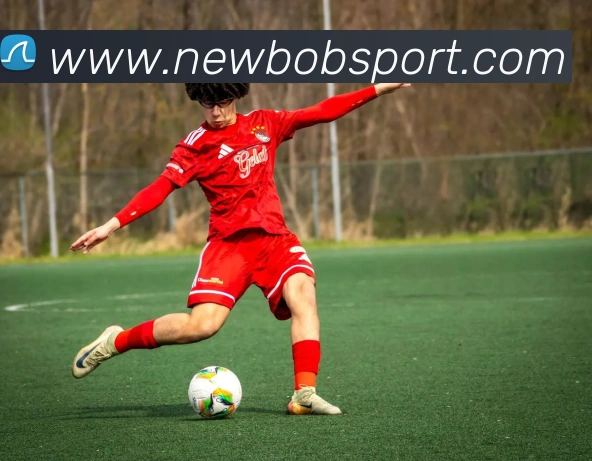 BOB体育平台生态图