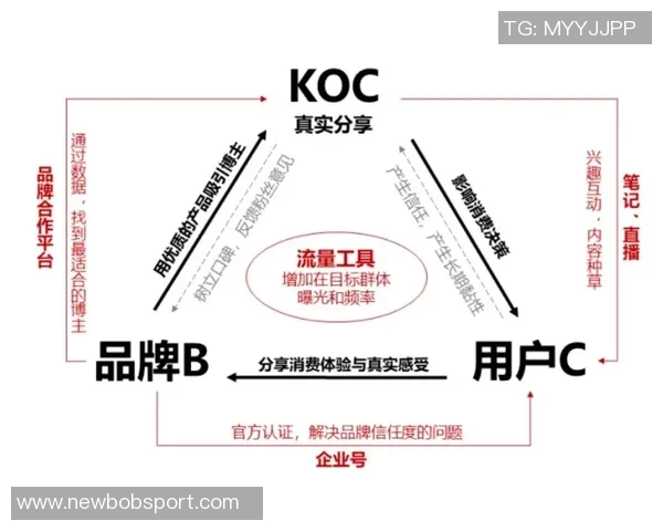 芬奇赞麦丹表现出色进攻决策高效展现自如风采